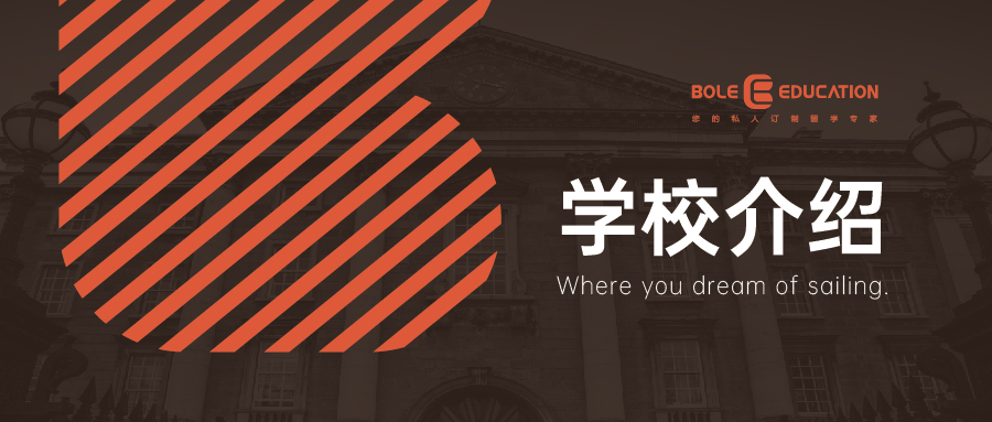 【美本选校策略】专业顾问指导 - 博乐教育